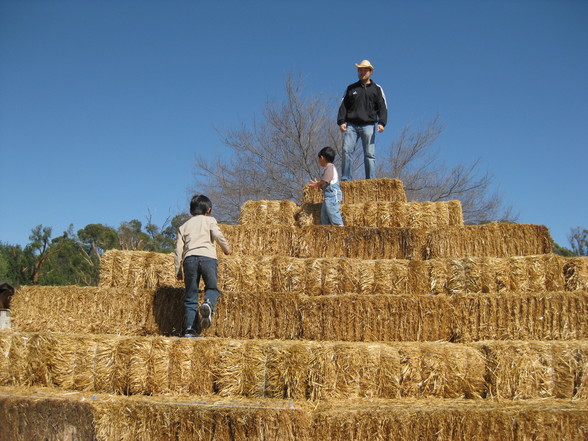 hay bale pyramid